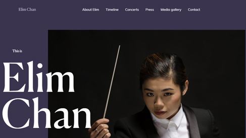 網(wǎng)站設計公司為企業(yè)建設服務可以涉及的領域很廣